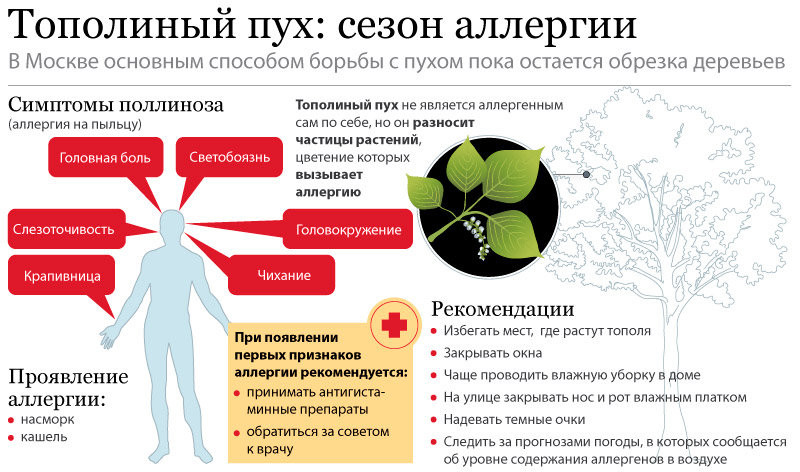 Topolinyj-puh-infografika.jpg